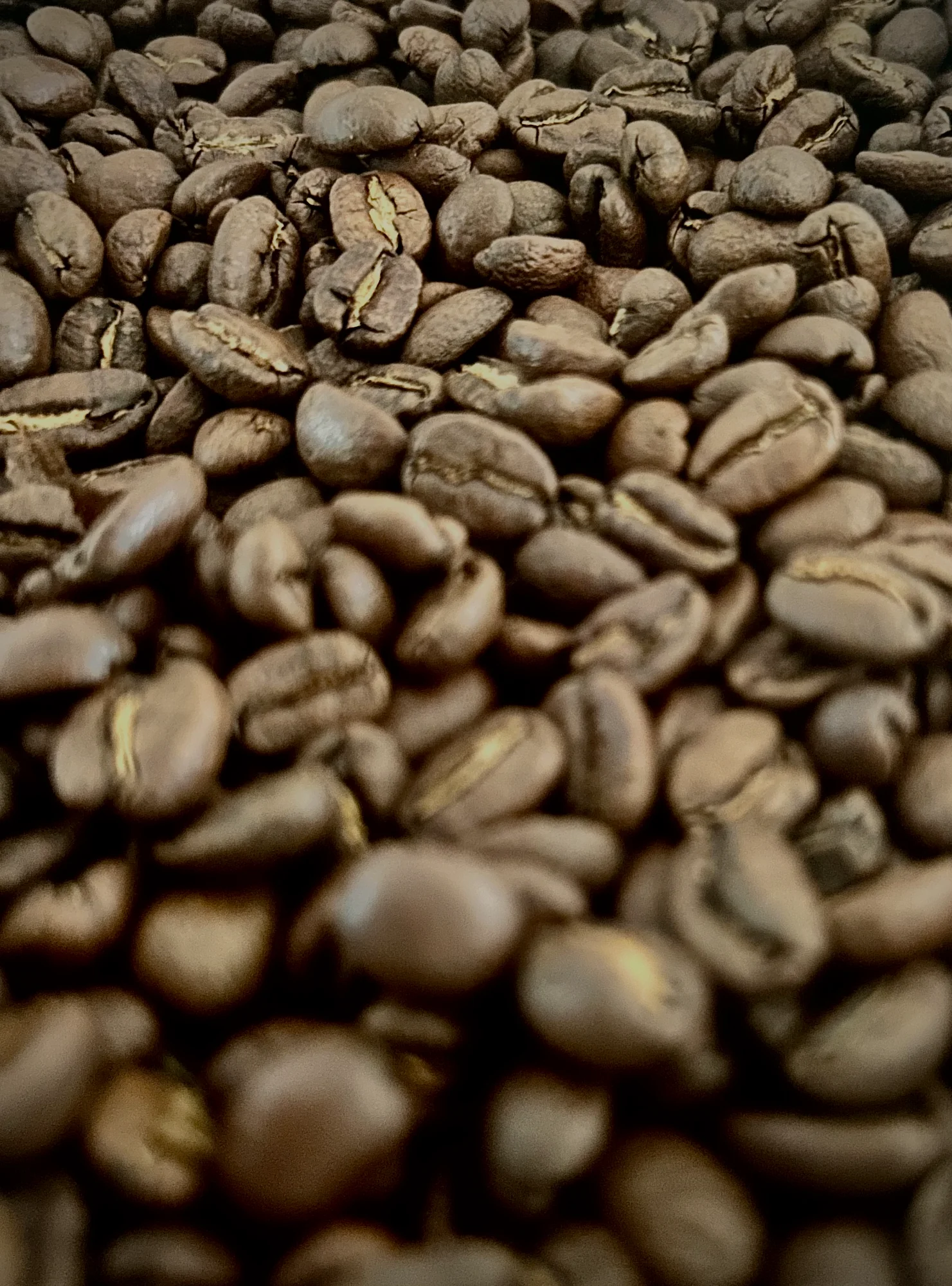 Revelation Blend